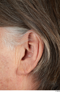 Photos of Joachim Groom ear 0001.jpg